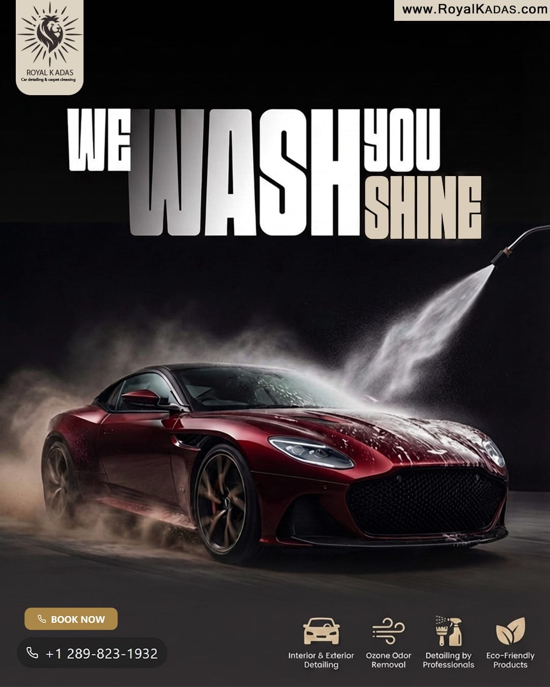 We Wash, You Shine: Premium Mobile Car Detailing Niagara